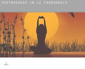 Foot massage in  Le Cardonnois